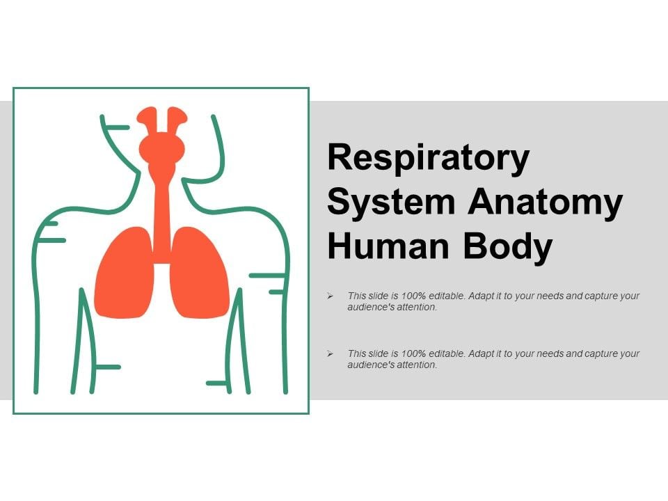 Respiratory System Anatomy Human Body Ppt PowerPoint Presentation Model Example Topics Slide01