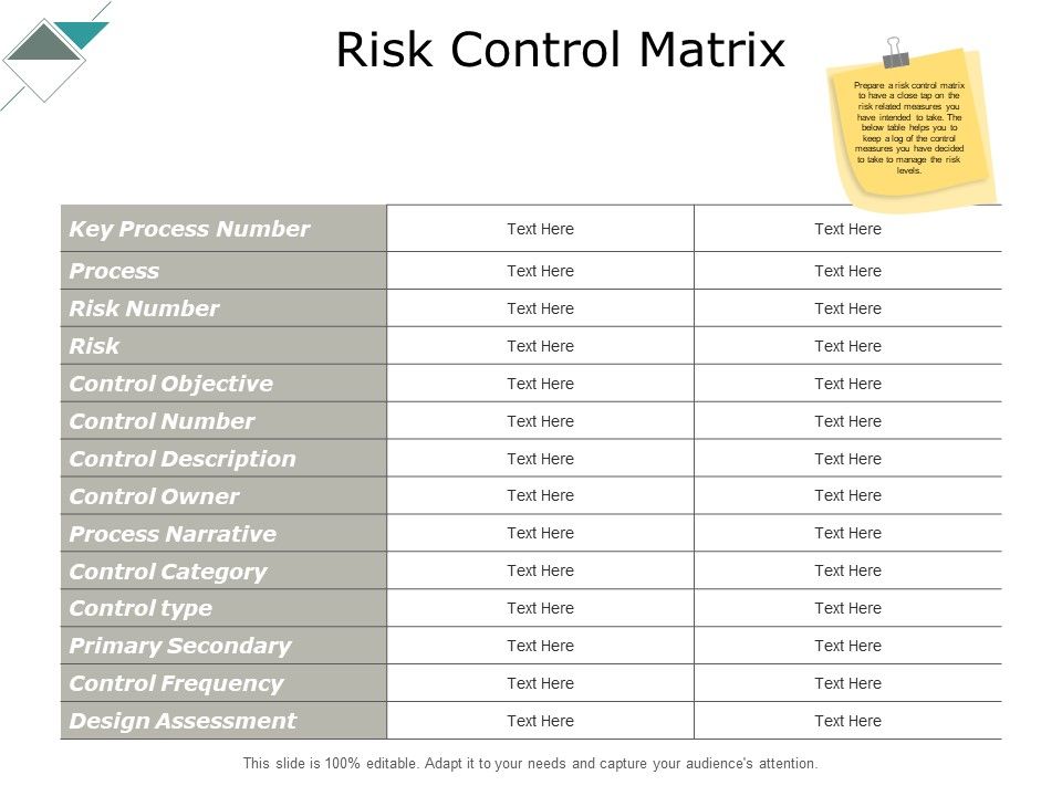 Risk Control Matrix Ppt PowerPoint Presentation Infographic Template Mockup