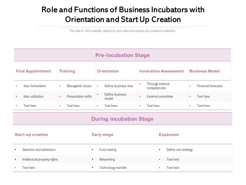 Role And Functions Of Business Incubators With Orientation And Start Up