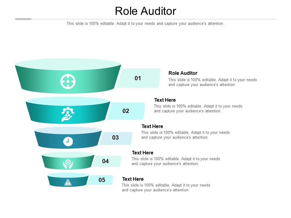 Role_Auditor_Ppt_PowerPoint_Presentation_Icon_Professional_Cpb_Pdf_Slide_1.jpg