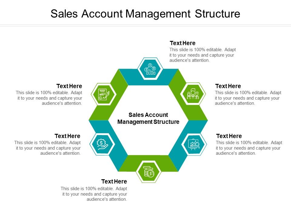 Sales_Account_Management_Structure_Ppt_PowerPoint_Presentation_Icon_Layout_Cpb_Pdf_Slide_1.jpg