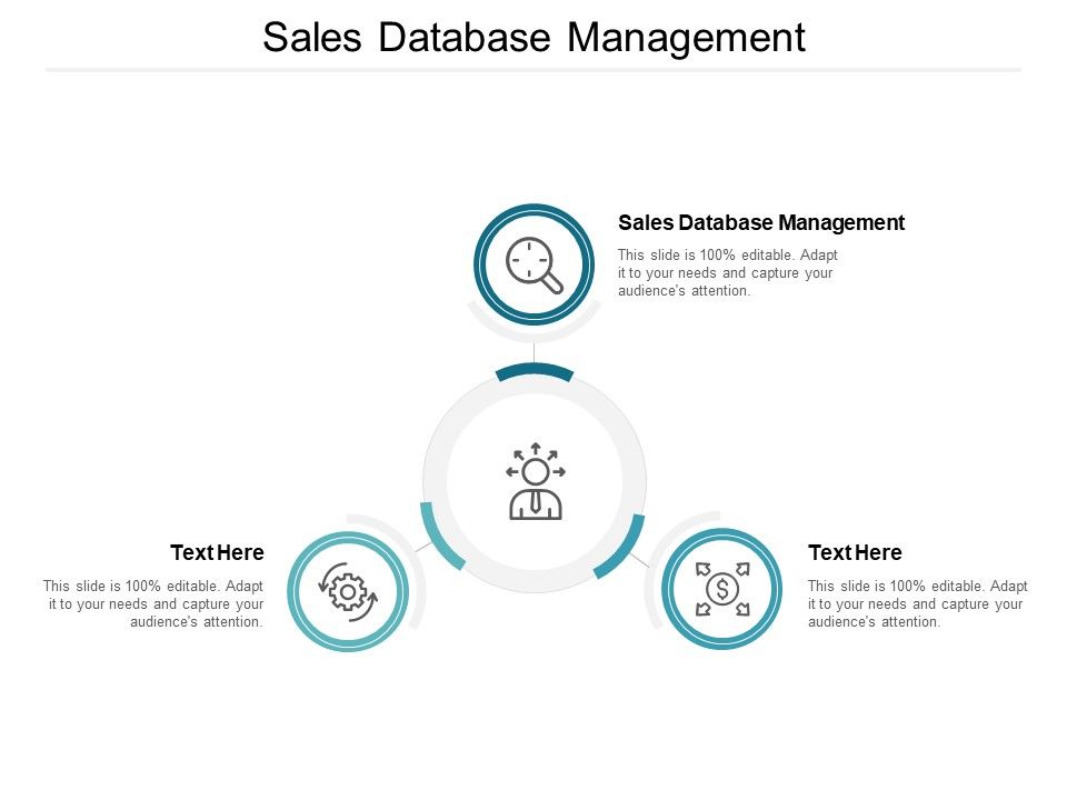 Sales Database Management Ppt PowerPoint Presentation Outline Templates Cpb