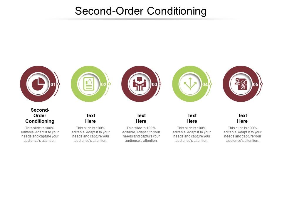 Second_Order_Conditioning_Ppt_PowerPoint_Presentation_Icon_Background_Image_Cpb_Pdf_Slide_1.jpg