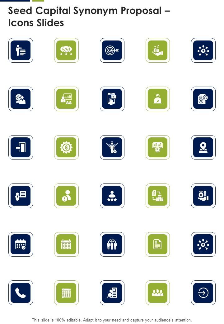 Seed Capital Synonym Proposal Icons Slides One Pager Sample Example Document Slide01