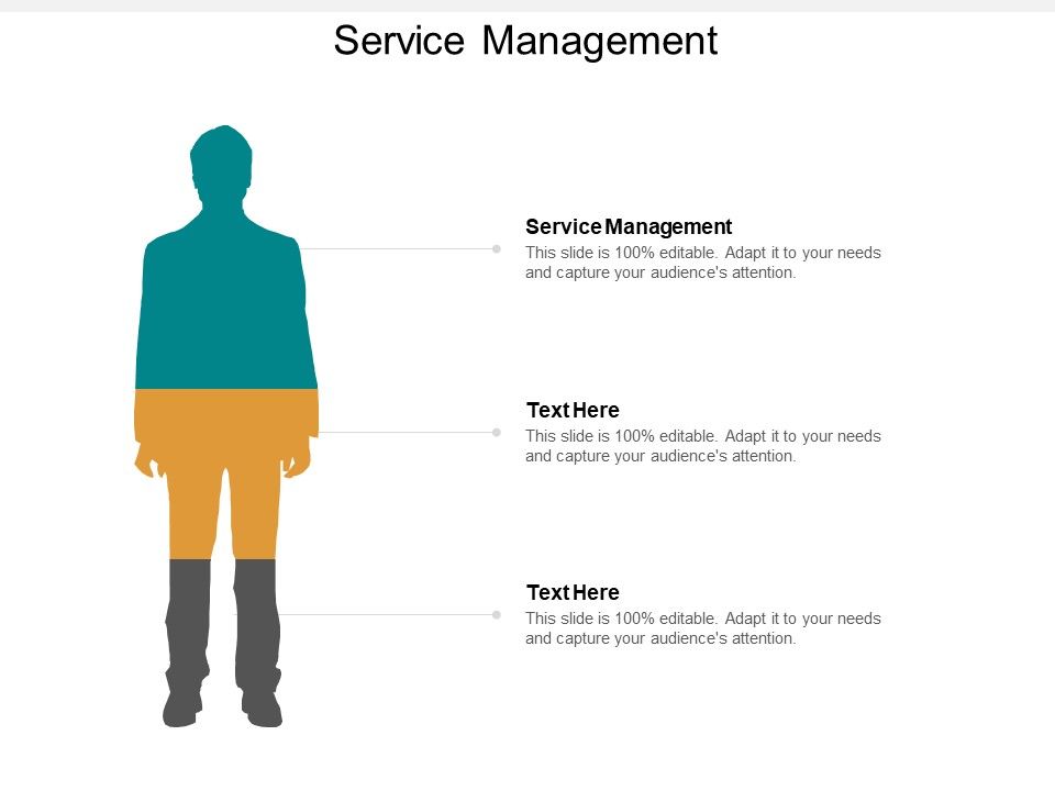 Service Management Ppt Powerpoint Presentation Infographics Tips Cpb Service Management Ppt Powerpoint Presentation Infographics Tips Cpb