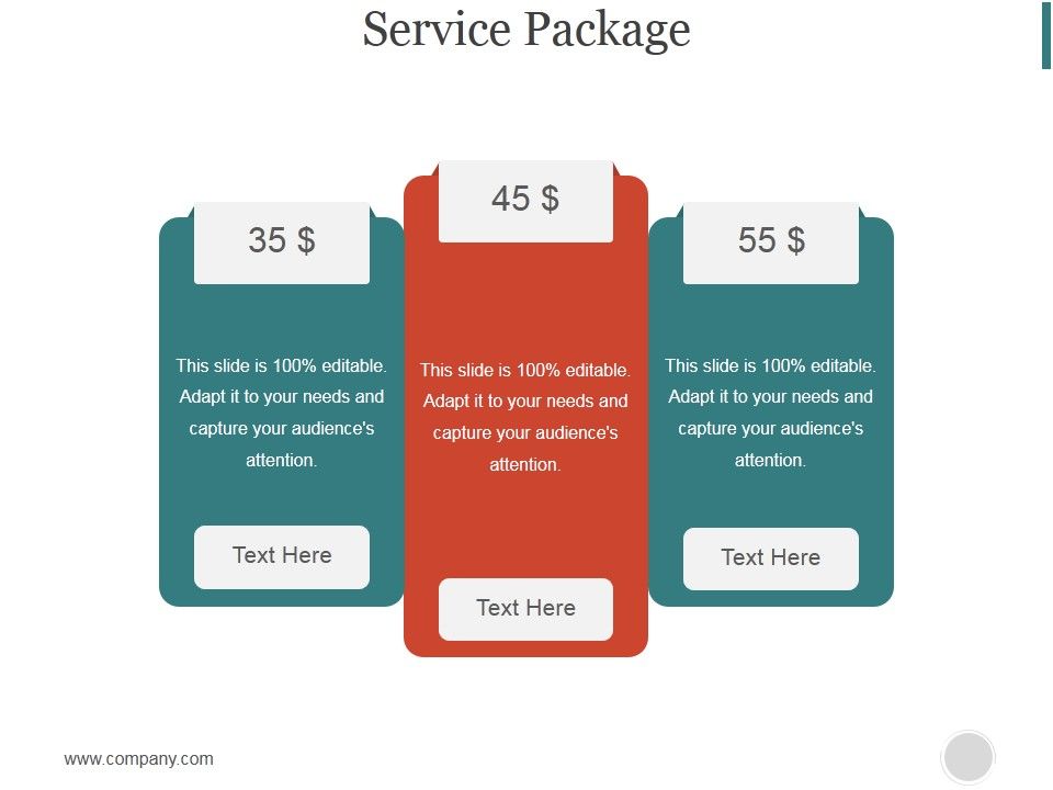 Service Package Slide Ppt PowerPoint Presentation Slide