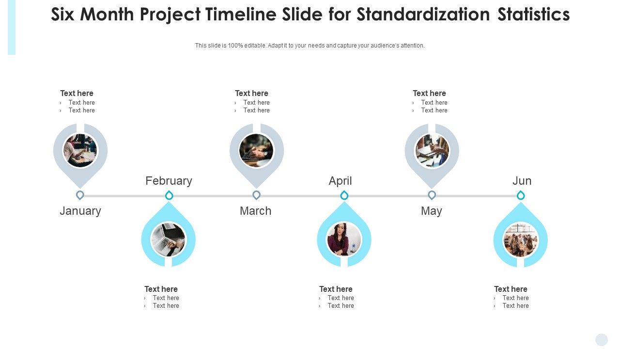 Six Month Project Timeline Standardization Statistics Ppt PowerPoint ...