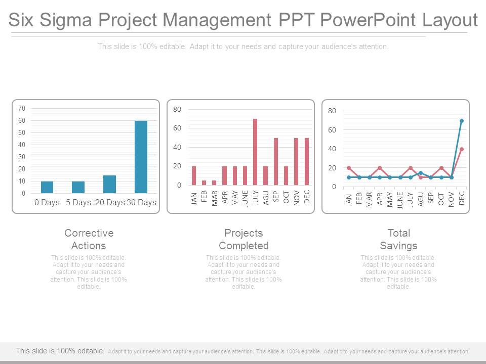 Six Sigma Project Management Ppt Powerpoint Layout