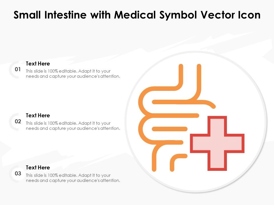 Small_Intestine_With_Medical_Symbol_Vector_Icon_Ppt_PowerPoint_Presentation_Summary_Design_Inspiration_PDF_Slide_1.jpg