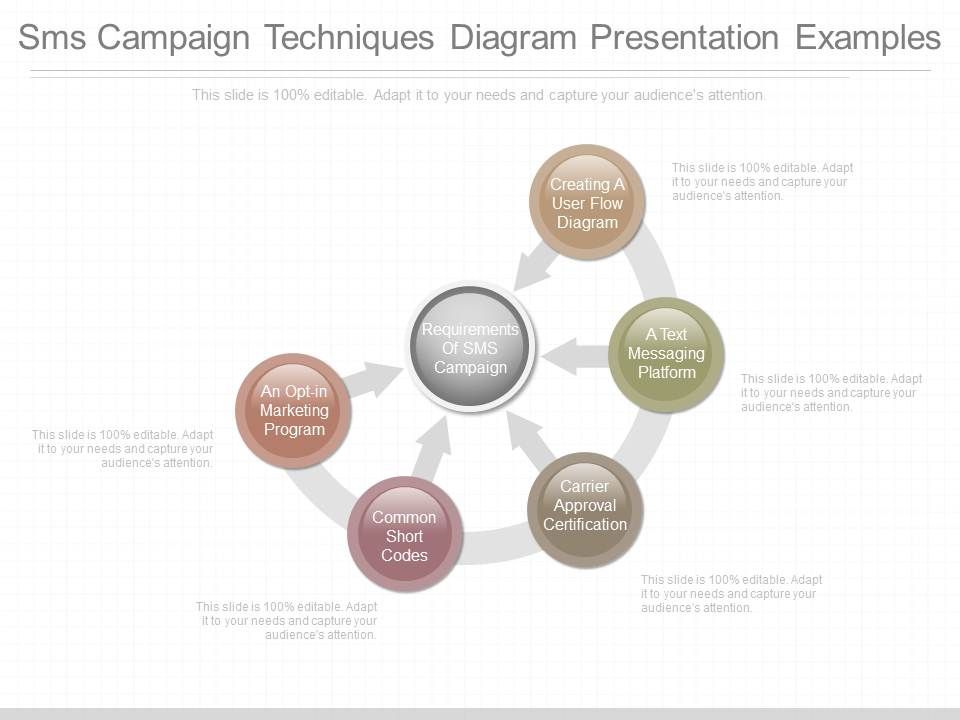 Sms Campaign Techniques Diagram Presentation Examples