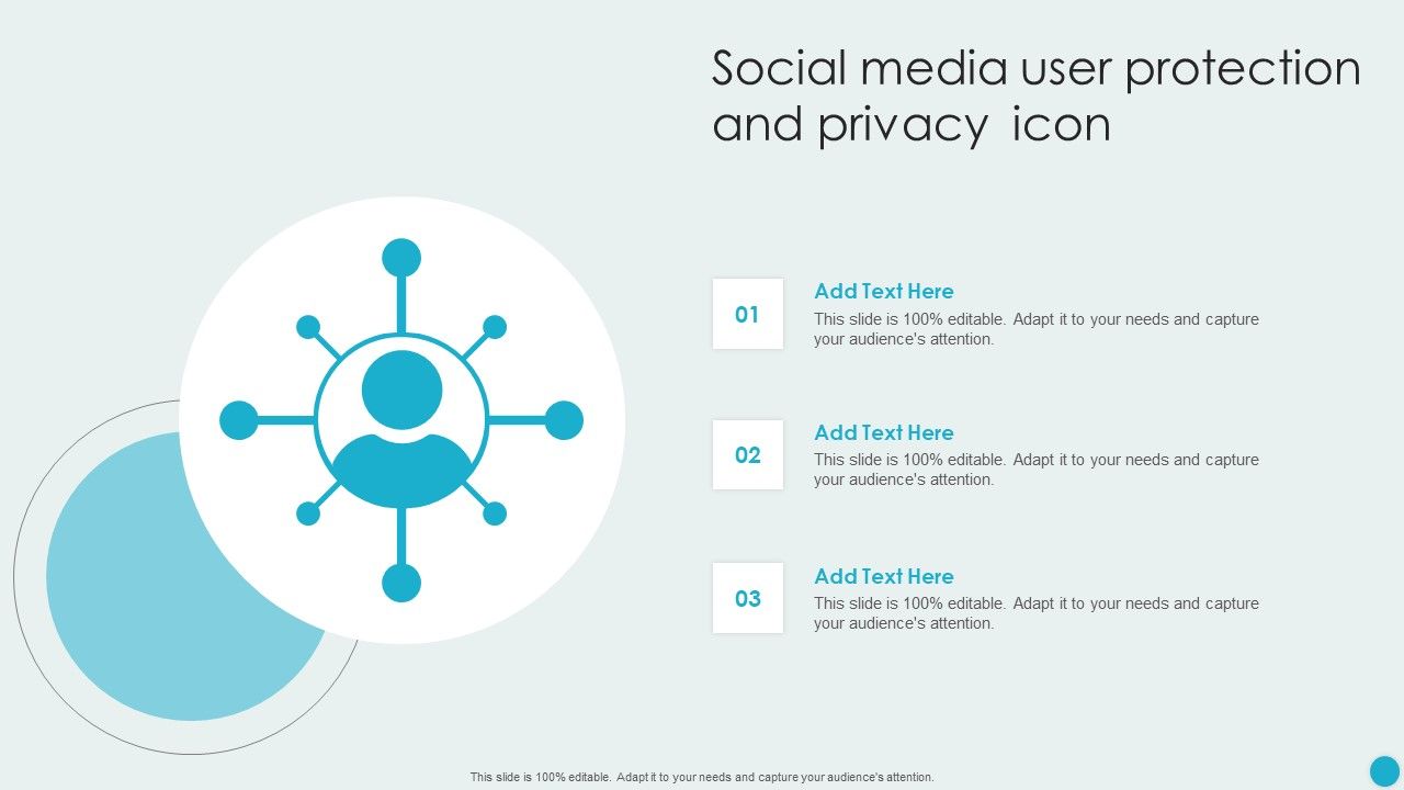 Social_Media_User_Protection_And_Privacy_Icon_Summary_PDF_Slide_1.jpg