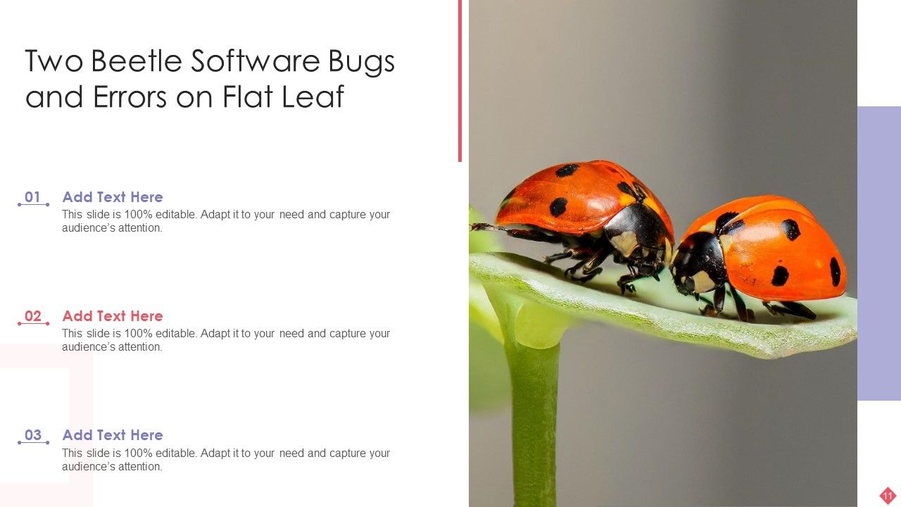 Software Bugs And Errors Ppt PowerPoint Presentation Complete With Slides