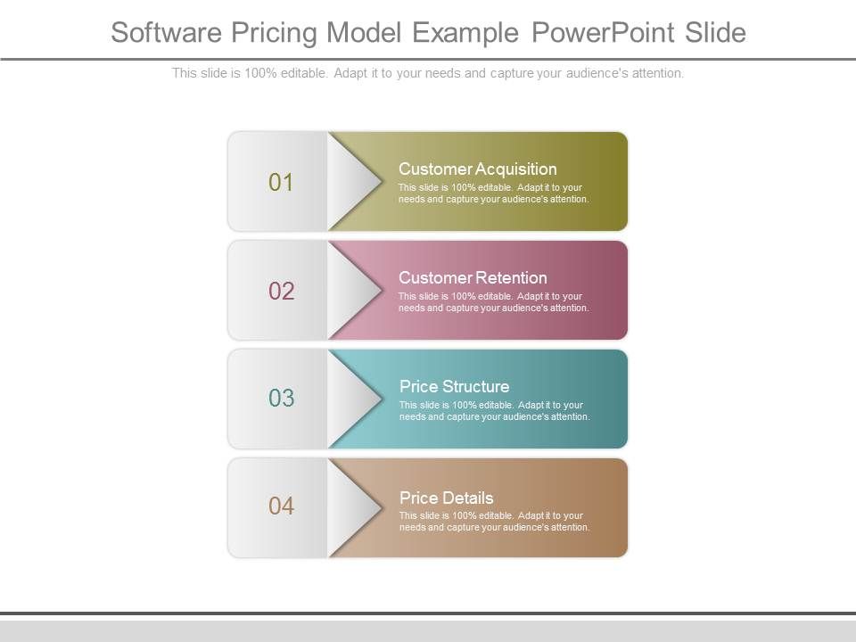 Software Pricing Model Example Powerpoint Slide