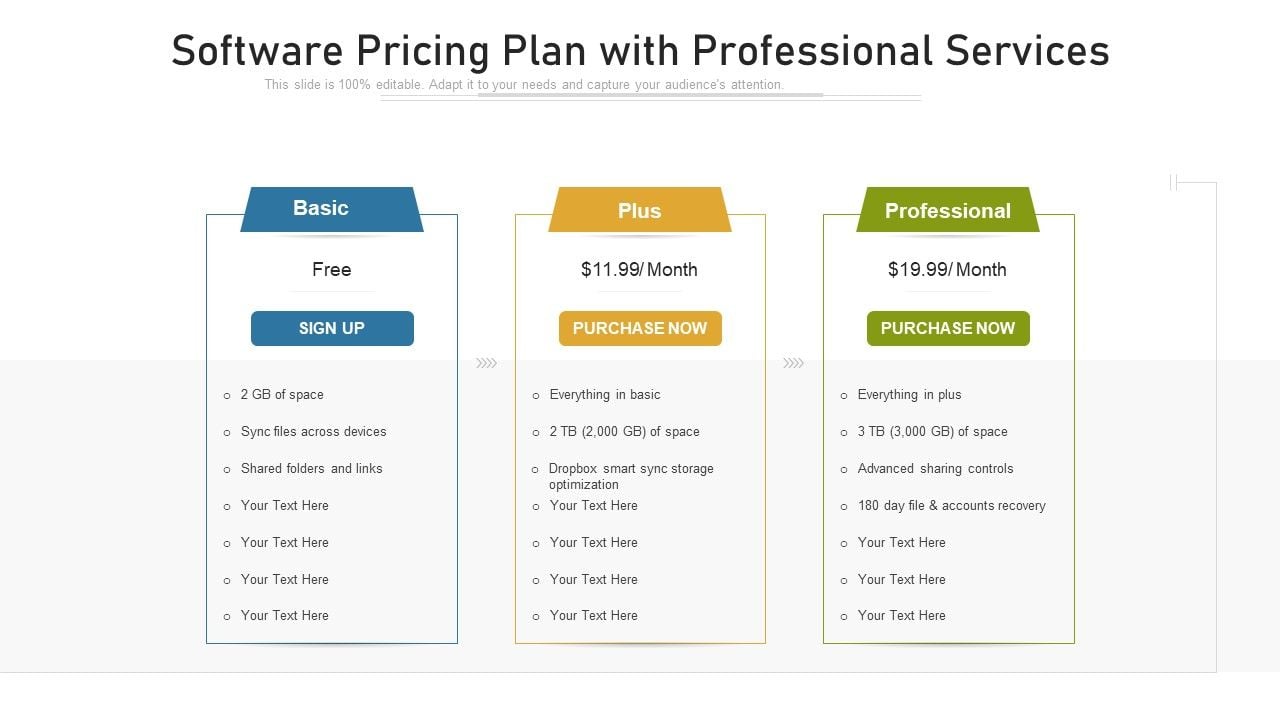Software Pricing Plan With Professional Services Ppt Infographic ...