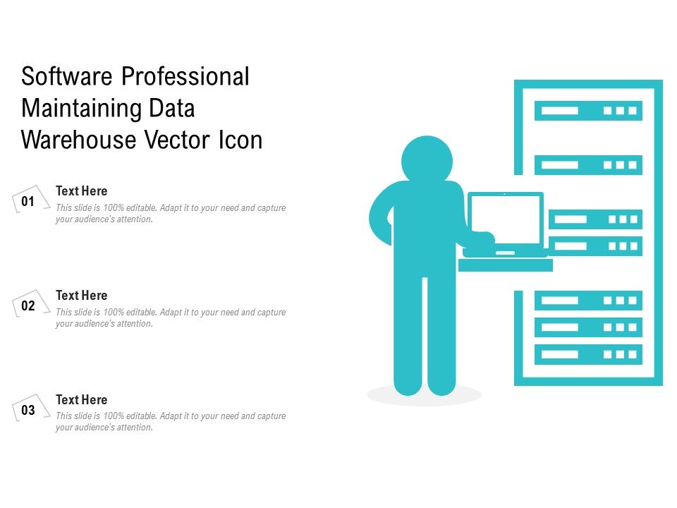 Software_Professional_Maintaining_Data_Warehouse_Vector_Icon_Ppt_PowerPoint_Presentation_File_Graphics_Pictures_PDF_Slide_1.jpg