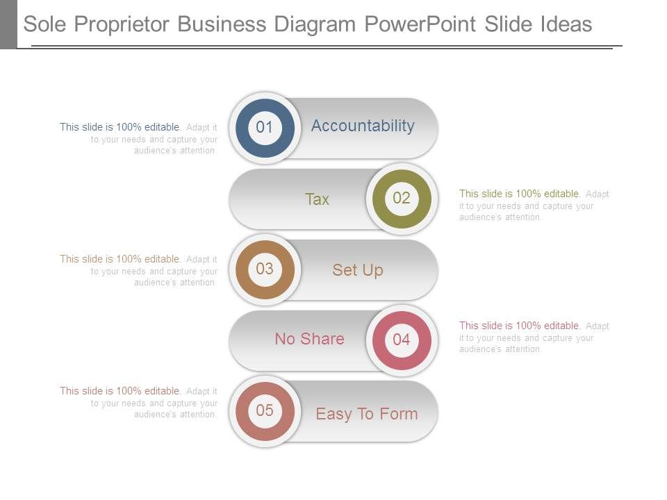 sole-proprietor-business-diagram-powerpoint-slide-ideas