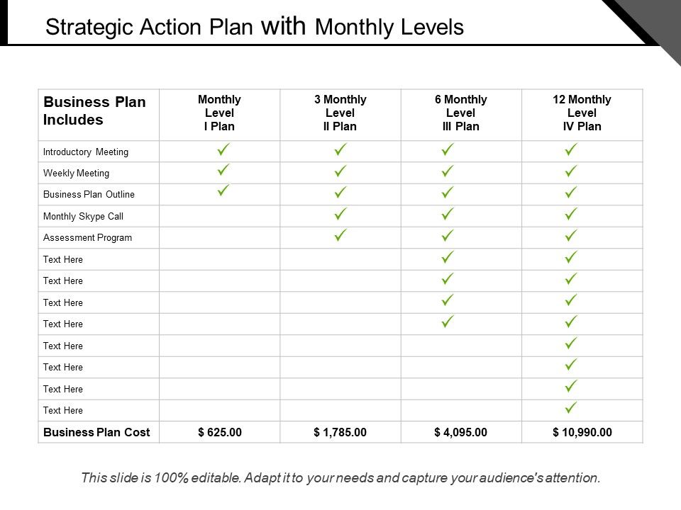 Strategic_Action_Plan_With_Monthly_Levels_Ppt_PowerPoint_Presentation_Icon_Ideas_PDF_Slide_1.jpg