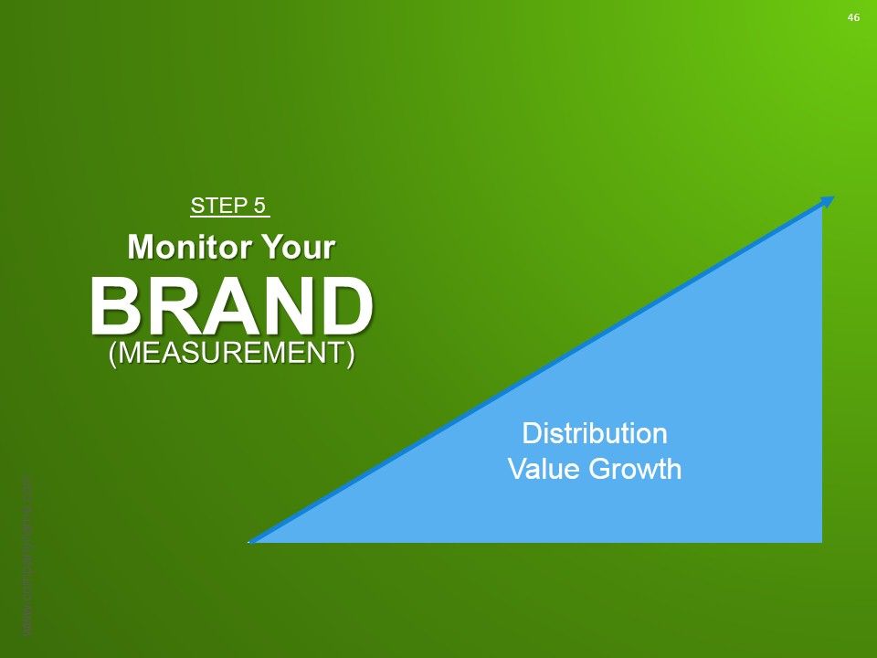 Strategic Brand Development Marketing And Management Process Ppt PowerPoint Presentation Complete Deck With Slides Slide46