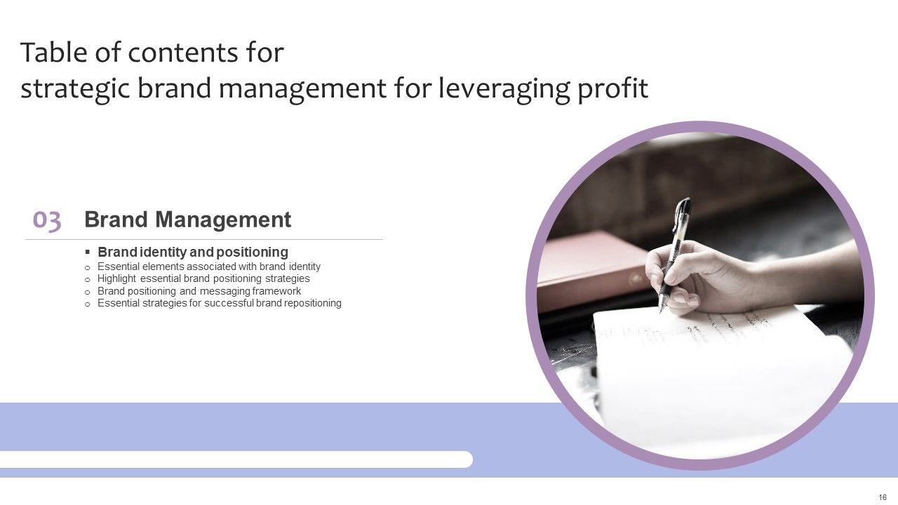 Strategic Brand Management For Leveraging Profit Ppt PowerPoint Presentation Complete Deck With Slides Slide16