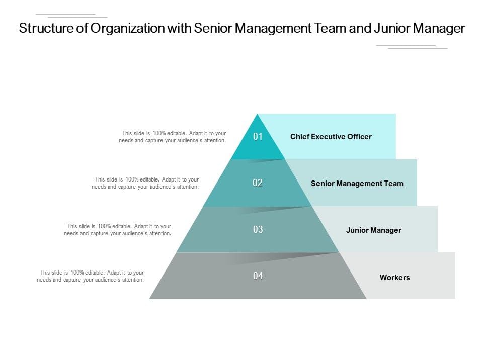Structure Of Organization With Senior Management Team And Junior