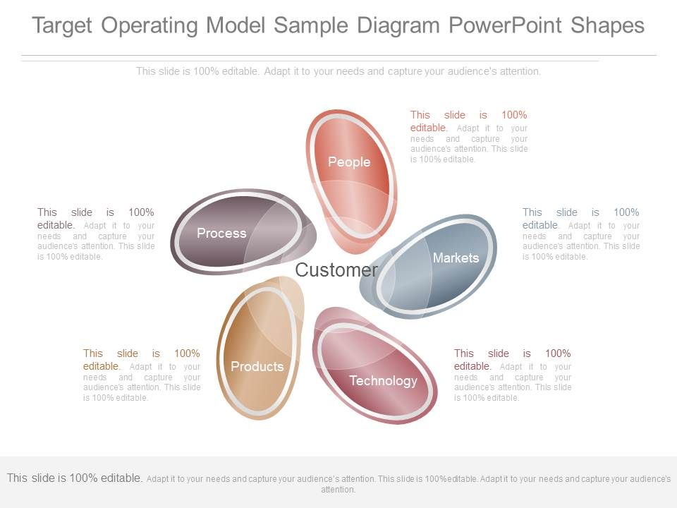 Target Operating Model Sample Diagram Powerpoint Shapes