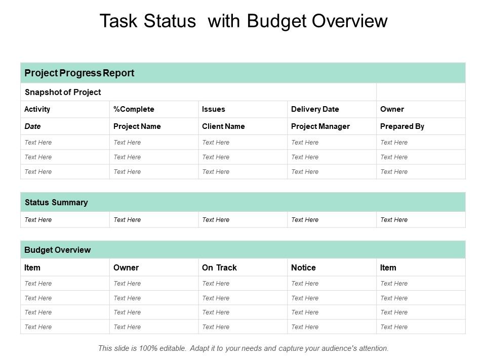 Task_Status_With_Budget_Overview_Ppt_PowerPoint_Presentation_File_Topics_Slide_1.jpg
