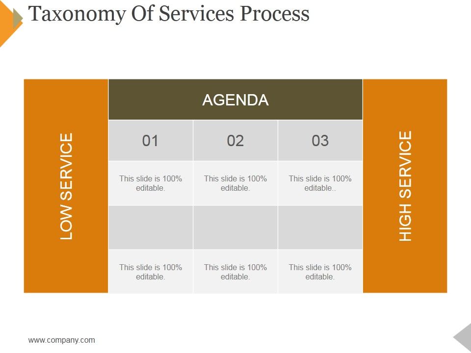 Taxonomy_Of_Services_Process_Ppt_PowerPoint_Presentation_Icon_Template_Slide_1.jpg