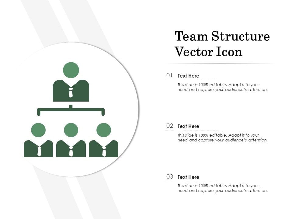 Team_Structure_Vector_Icon_Ppt_PowerPoint_Presentation_Infographics_Pictures_PDF_Slide_1.jpg