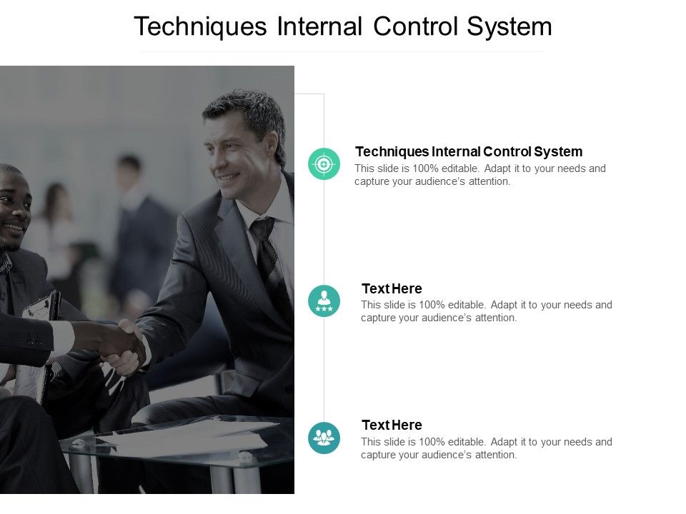 Techniques Internal Control System Ppt PowerPoint Presentation Pictures Templates Cpb