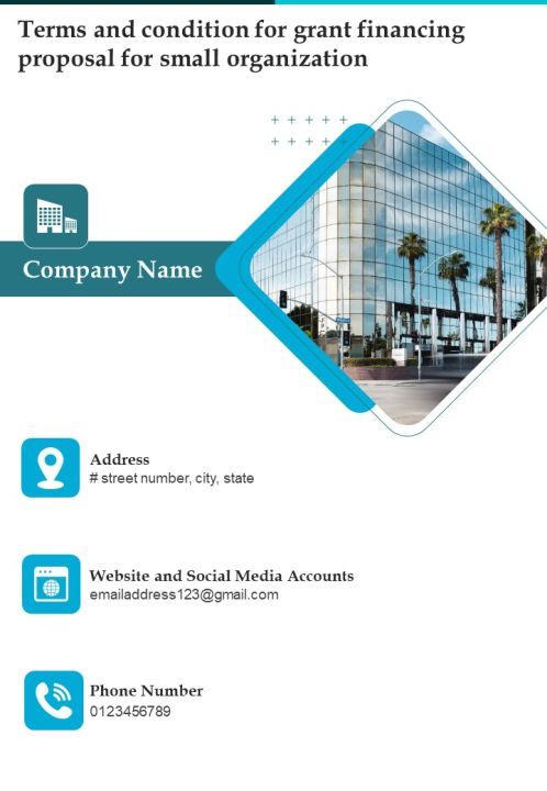 Terms And Condition For Grant Financing Proposal For Small Organization One Pager Sample Example Document Slide02