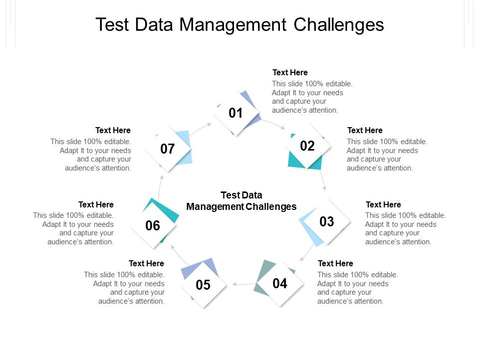 Test Data Management Challenges Ppt PowerPoint Presentation File ...