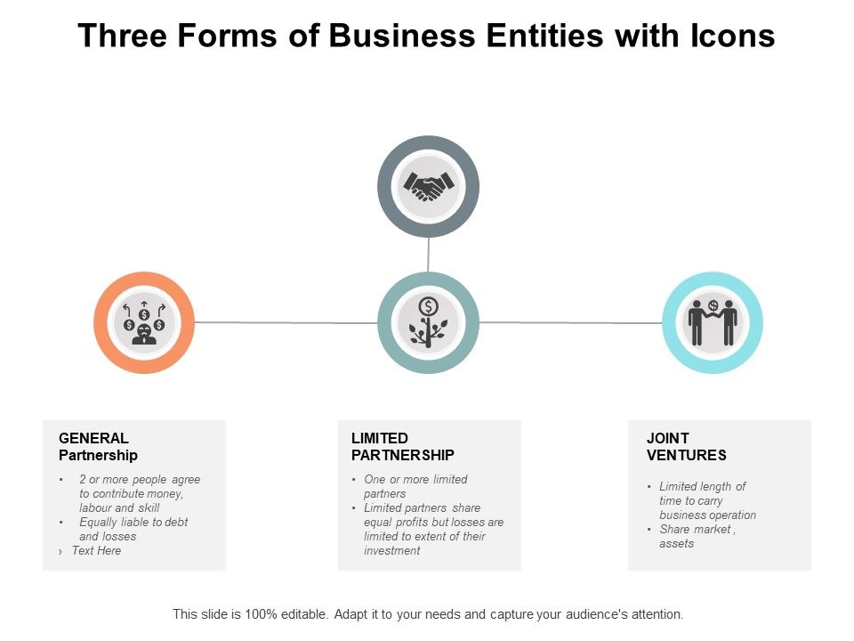 Three_Forms_Of_Business_Entities_With_Icons_Ppt_PowerPoint_Presentation_Summary_Inspiration_Slide_1.jpg