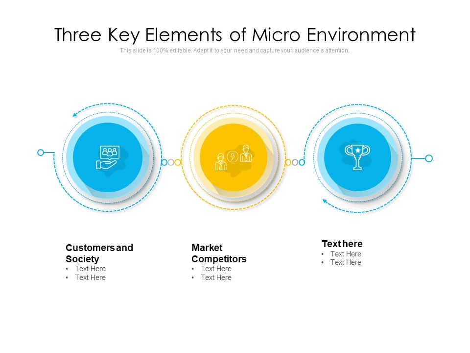 Three Key Elements Of Micro Environment Ppt PowerPoint Presentation