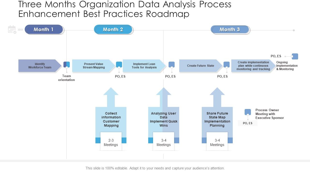 Three Months Organization Data Analysis Process Enhancement Best ...