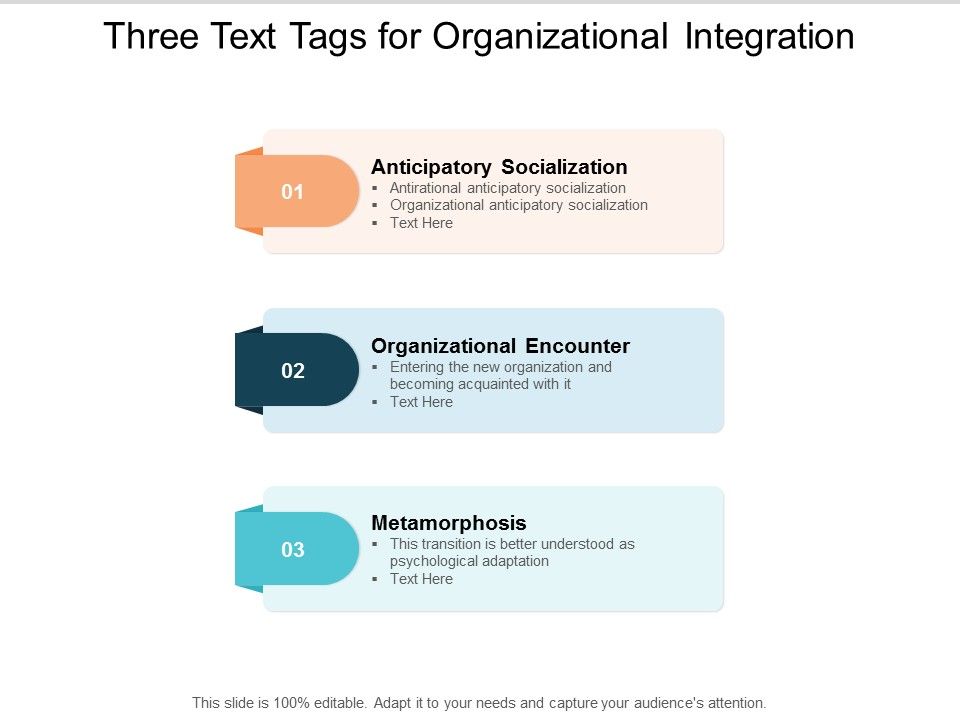 Three_Text_Tags_For_Organizational_Integration_Ppt_PowerPoint_Presentation_Gallery_Grid_Slide_1.jpg