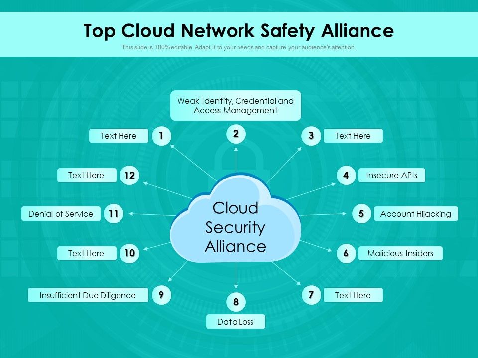 Top_Cloud_Network_Safety_Alliance_Ppt_PowerPoint_Presentation_Gallery_File_Formats_PDF_Slide_1.jpg