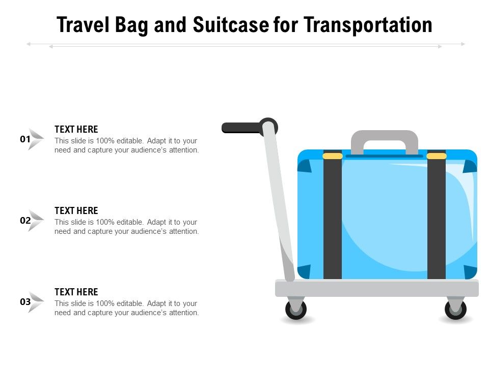 Travel Bag And Suitcase For Transportation Ppt PowerPoint Presentation