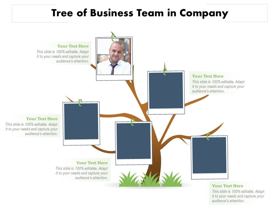 Tree_Of_Business_Team_In_Company_Ppt_PowerPoint_Presentation_Icon_Background_Images_PDF_Slide_1.jpg