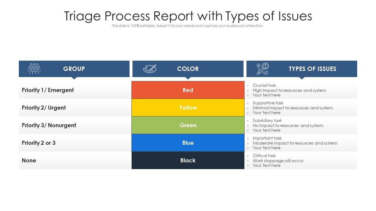 Triage Process Report With Types Of Issues Ppt PowerPoint Presentation ...