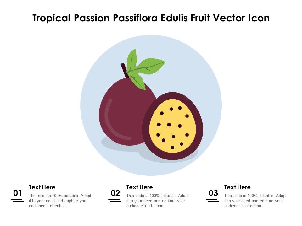 Tropical_Passion_Passiflora_Edulis_Fruit_Vector_Icon_Ppt_PowerPoint_Presentation_Gallery_Show_PDF_Slide_1.jpg