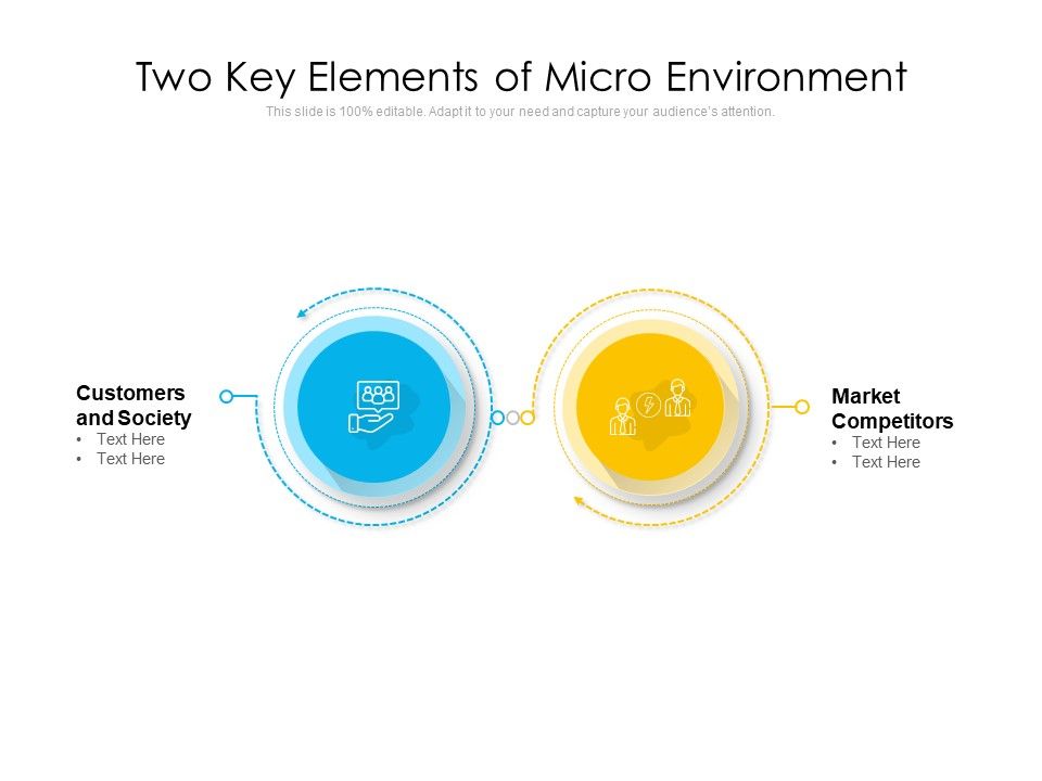 Two_Key_Elements_Of_Micro_Environment_Ppt_PowerPoint_Presentation_Icon_Inspiration_PDF_Slide_1.jpg
