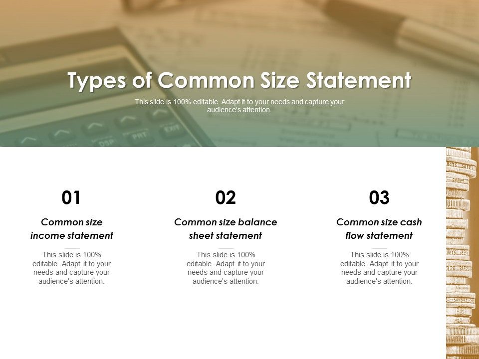 Types Of Common Size Statement Ppt Powerpoint Presentation Layouts ...