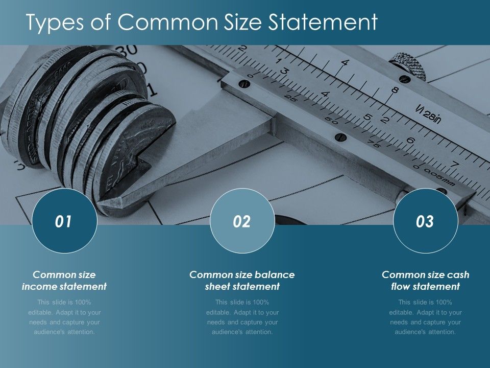 Types Of Common Size Statement Ppt Powerpoint Presentation Pictures ...