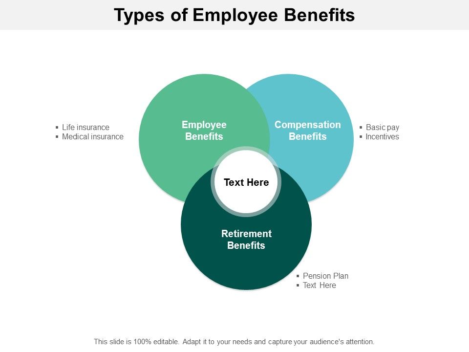 Types_Of_Employee_Benefits_Ppt_PowerPoint_Presentation_Portfolio_Icon_Slide_1.jpg