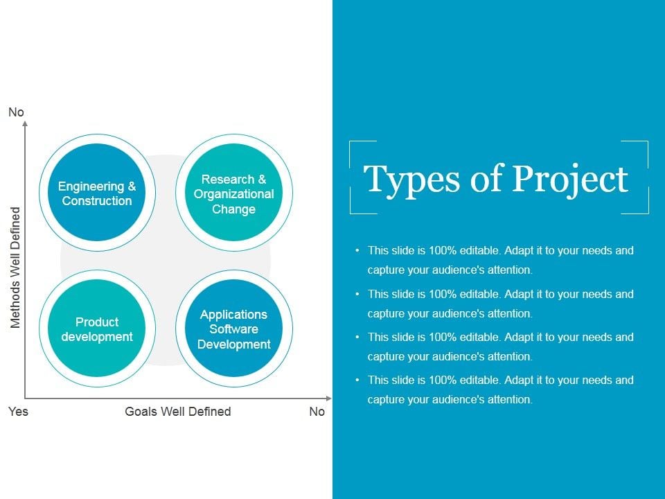Types Of Project Ppt PowerPoint Presentation Infographic Template Portfolio