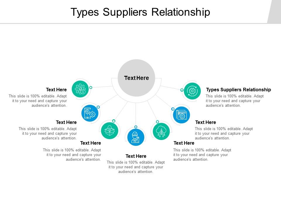 Types Suppliers Relationship Ppt PowerPoint Presentation Model Background Images Cpb