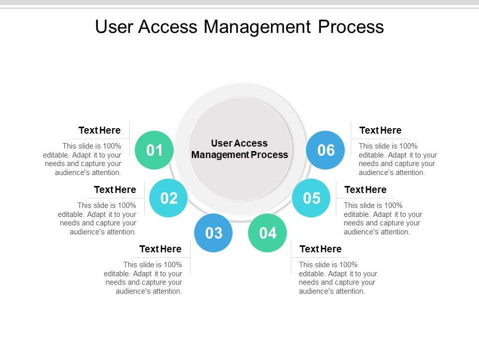User Access Management Process Ppt PowerPoint Presentation Summary