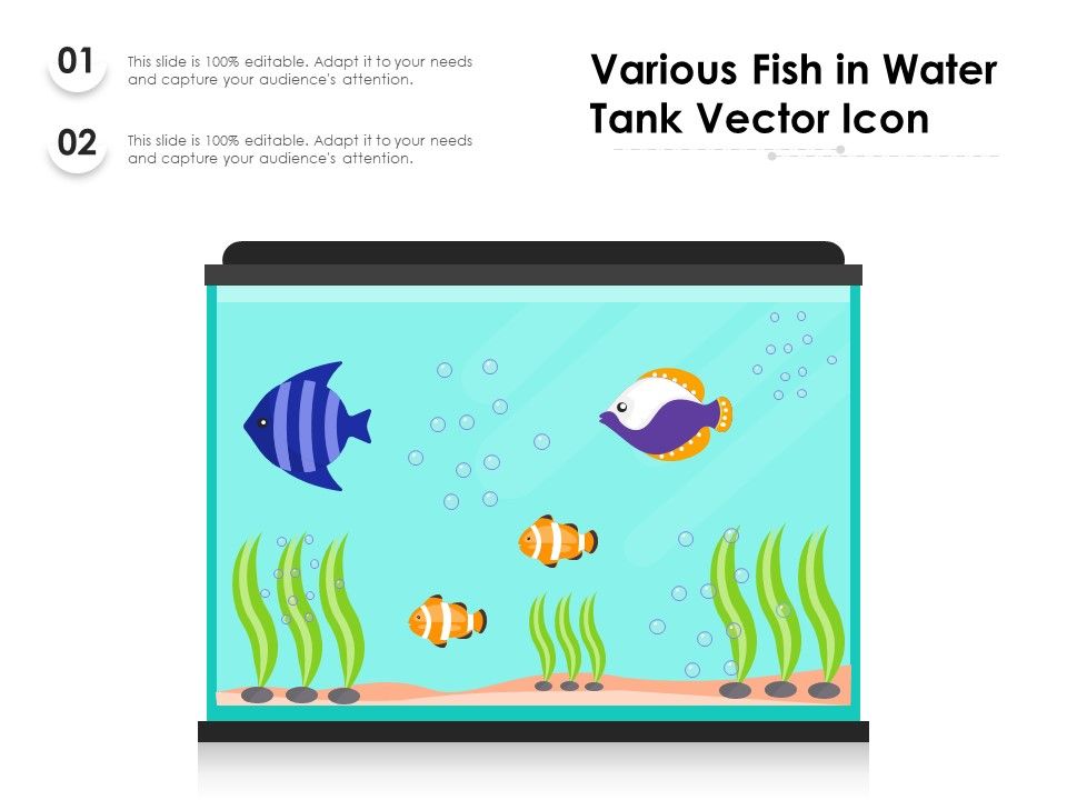 Various_Fish_In_Water_Tank_Vector_Icon_Ppt_PowerPoint_Presentation_Slides_Clipart_PDF_Slide_1.jpg