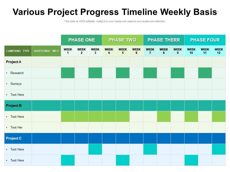 Various_Project_Progress_Timeline_Weekly_Basis_Ppt_PowerPoint_Presentation_File_Icon_PDF_Slide_1.jpg