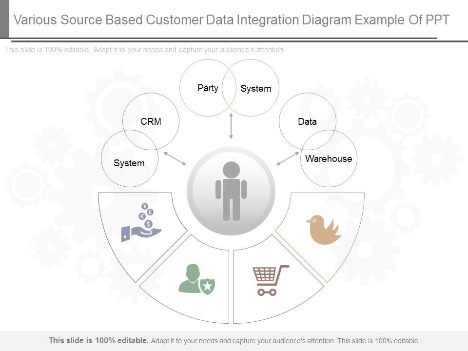 Various Source Based Customer Data Integration Diagram Example Of Ppt